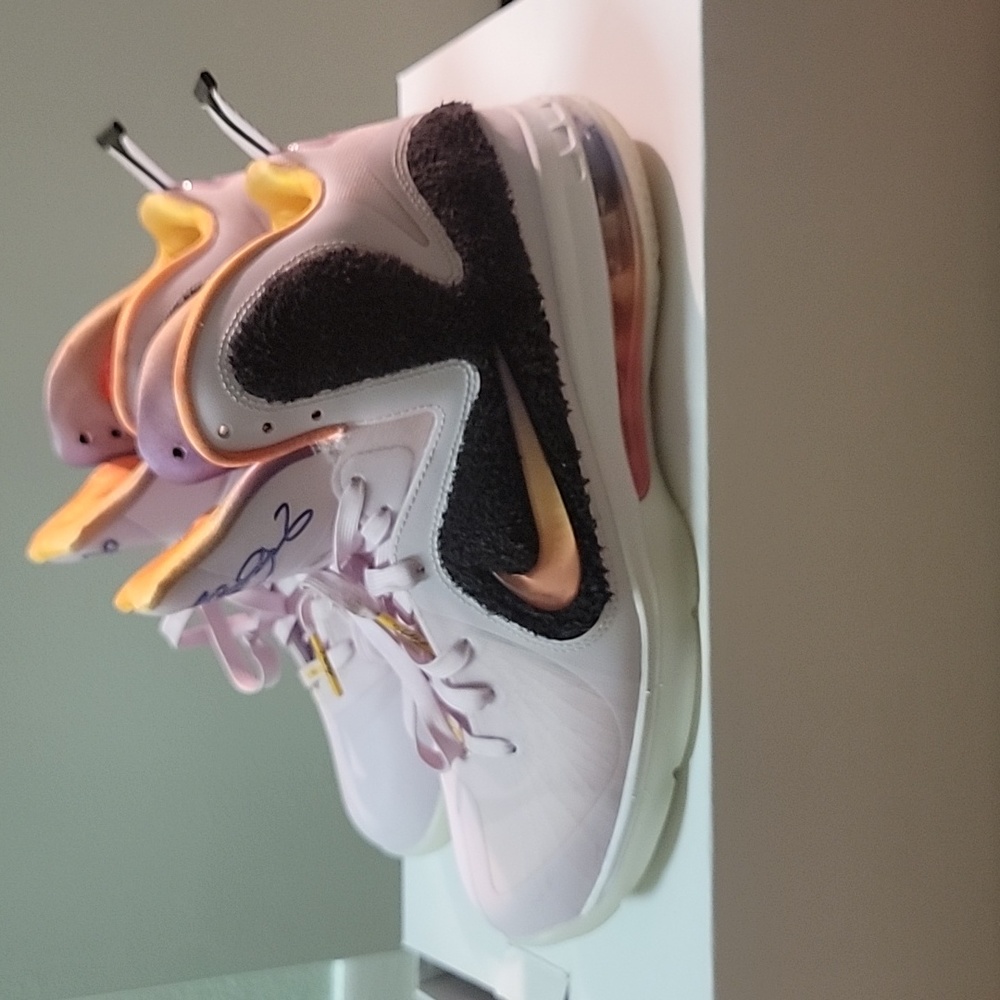 Nike LeBron ix limited edition with original box